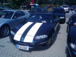 Big Bumper Meet 2010